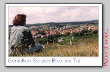 Die Ansicht auf eine Stadt im Tal - Werbe - Postkarte f&uuml;r eine Immobilienausstellung. 