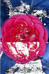 Beispiel f&uuml;r einen Audruck mit falsch eingestelltem Druckertreiber