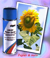Fixierspray zum Schutz von Ausdrucken mit dem Tintenstrahldrucker 
