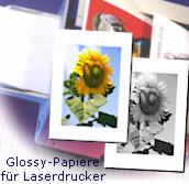 Hochglanzpapier für Farblaserdrucker