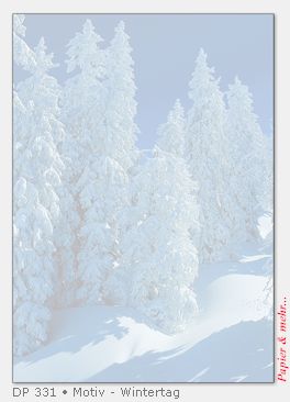 100 Blatt Sigel Weihnachtspapier, Motiv Wintertag, DP 331